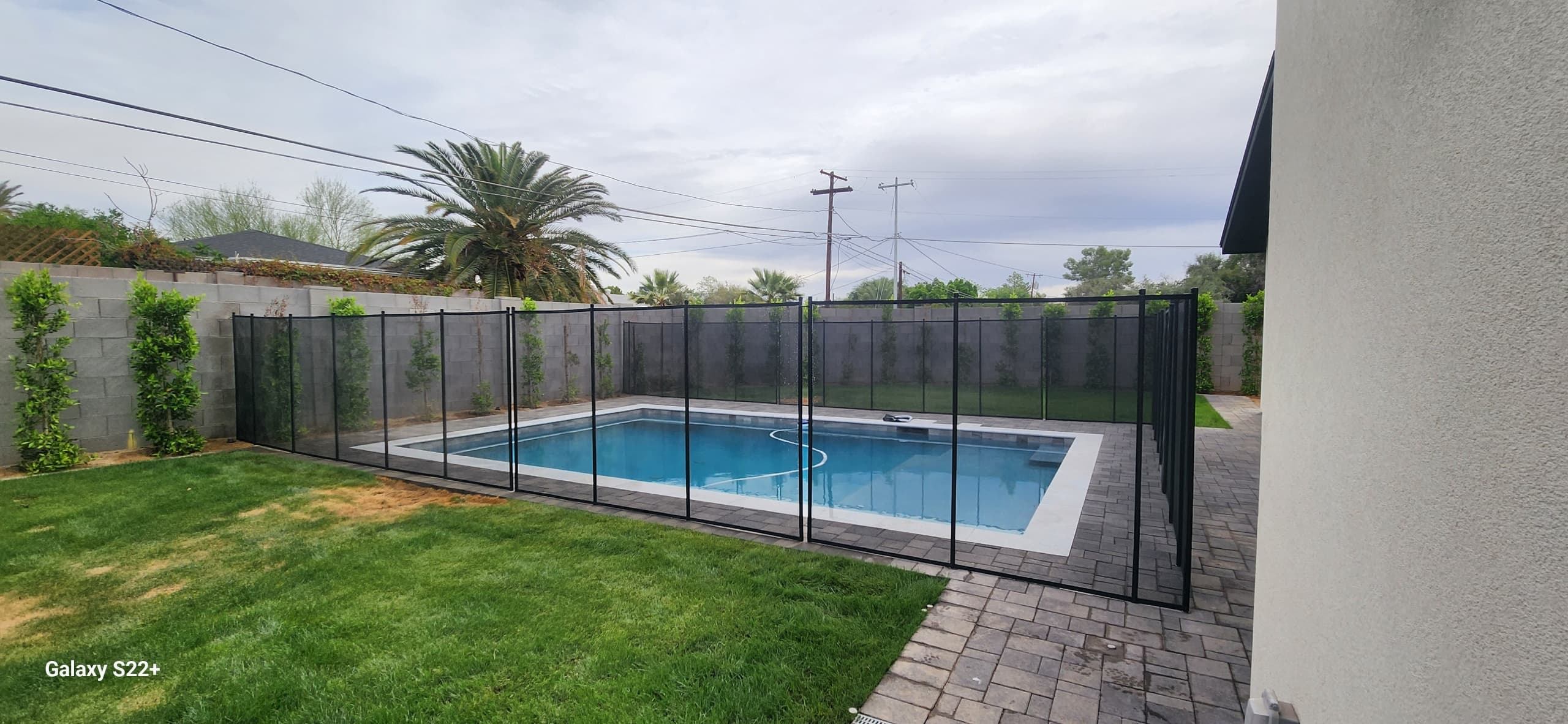 Black mesh pool fence — palm tree Arizona backyard installation